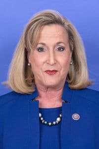 Ann Wagner portrait