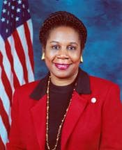 Sheila Jackson Lee portrait